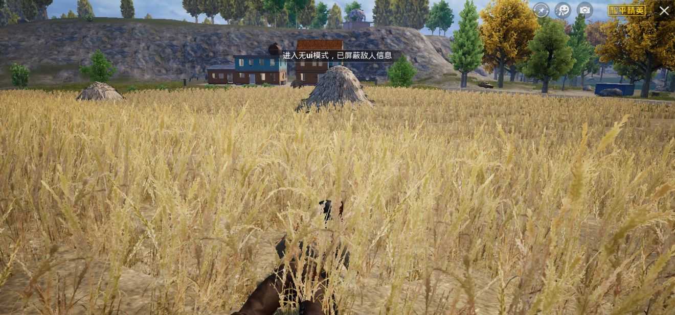 和平精英海岛2.0地图有哪些优化？细节全面升级极致画面等你来体验[多图]图片9