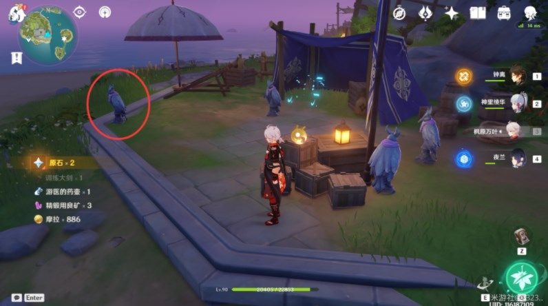 原神双双岛海螺怎么拿？原神双双岛海螺具体位置分享[多图]图片12