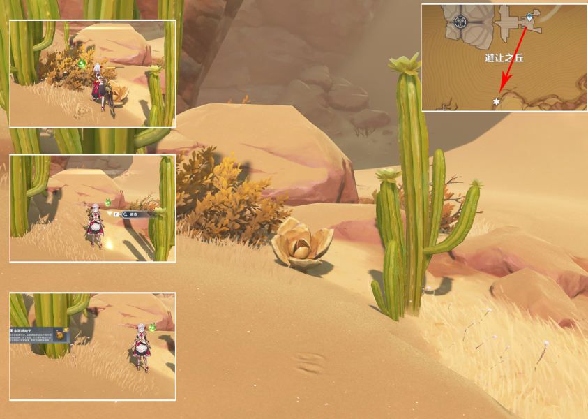 原神碑铭后续4颗金蔷薇种子位置在哪(原神碑铭成就后续)