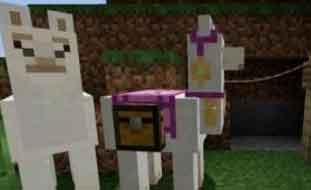 我的世界怎么找羊驼？怎样驯服羊驼？