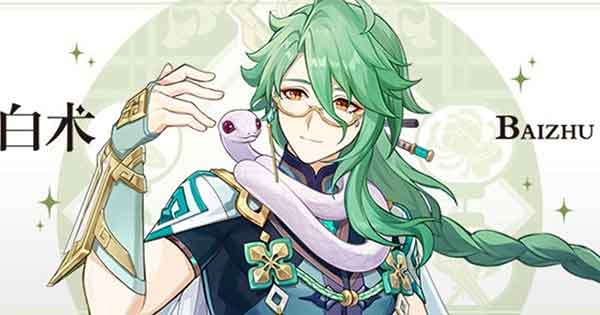 原神白术怎么配队 白术阵容搭配推荐