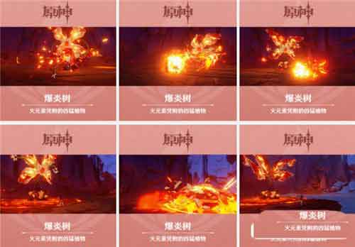 原神爆炎树怎么打 爆炎树阵容打法攻略