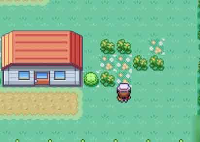 口袋妖怪燃之智神兽位置在哪 神兽位置一览