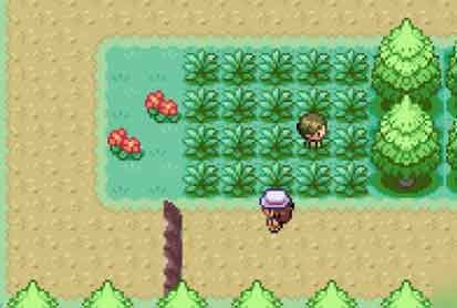 口袋妖怪燃之智神兽位置在哪 神兽位置一览