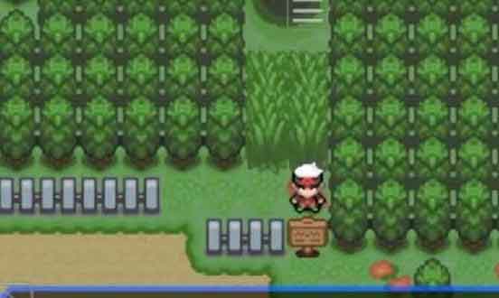 口袋妖怪究极绿宝石小智版魔幻森林怎么过