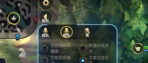 英雄联盟手游峡谷魔音怎么开启 lol峡谷魔音开启设置方法[多图]图片4