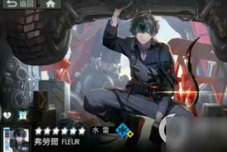 白夜极光弗劳尔最强输出阵容搭配推荐