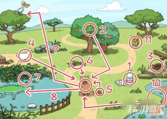 《全民剧本大师》吸引水豚通关攻略