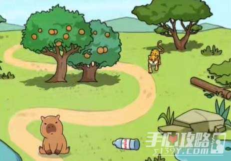 《全民剧本大师》吸引水豚通关攻略