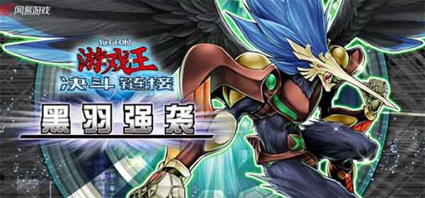 游戏王决斗链接黑羽强袭卡盒介绍(游戏王决斗链接黑羽卡组)