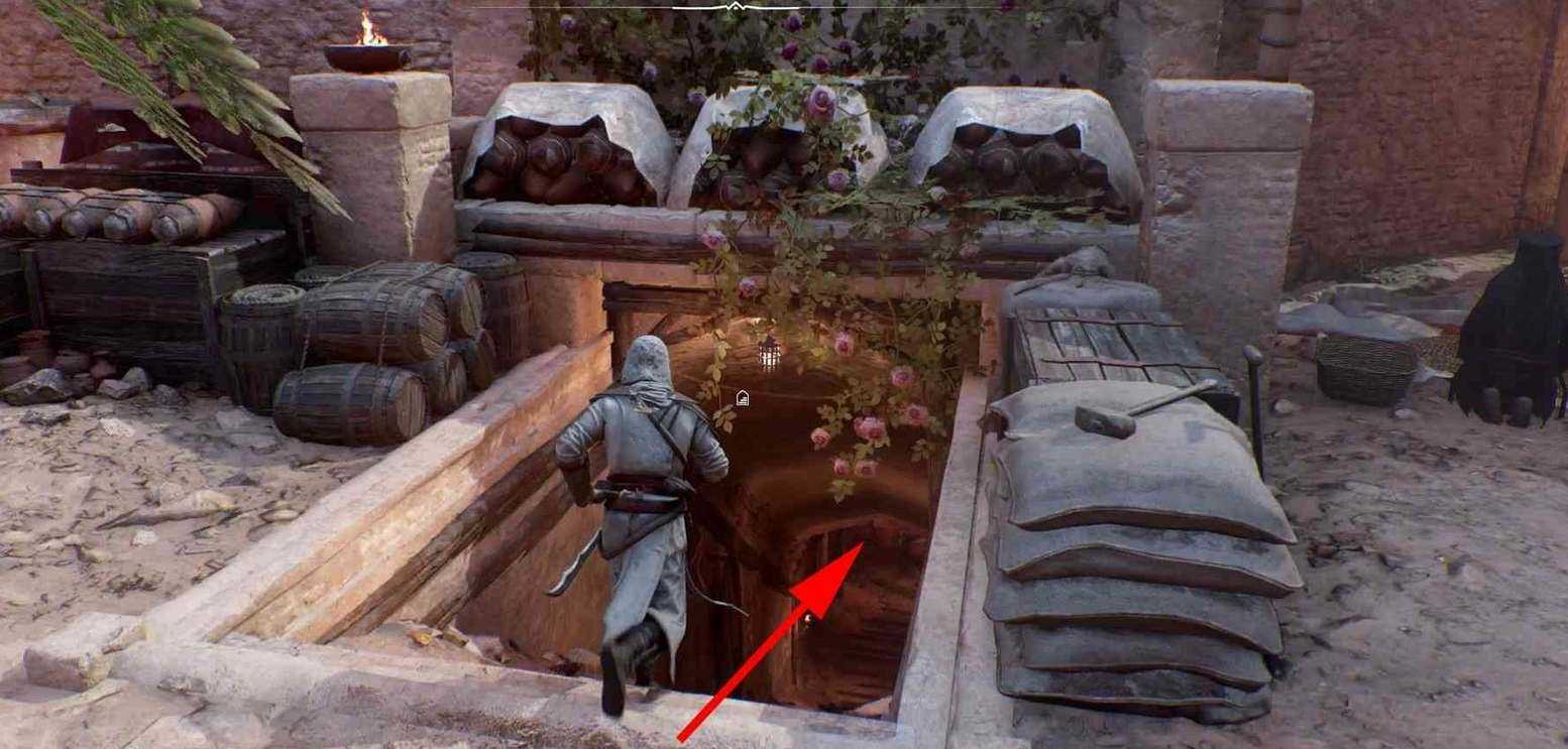 刺客信条幻景7本遗失书籍收集位置攻略