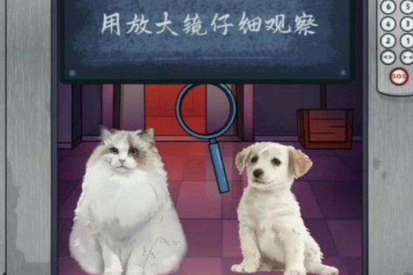 动动大脑瓜相对安全答案是什么(动动大脑瓜相对安全游戏攻略)