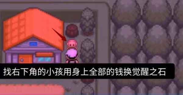 口袋妖怪究极绿宝石5.4觉醒石在哪？