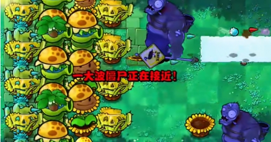 1719564593452839.png image.png