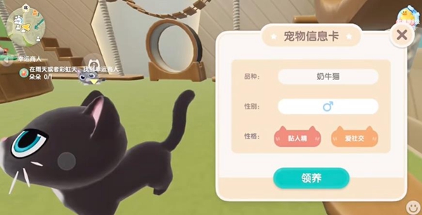 网3
