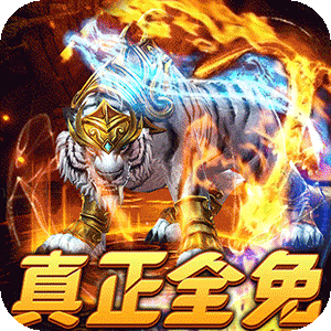 武器之王（免月卡无限进化）精简版