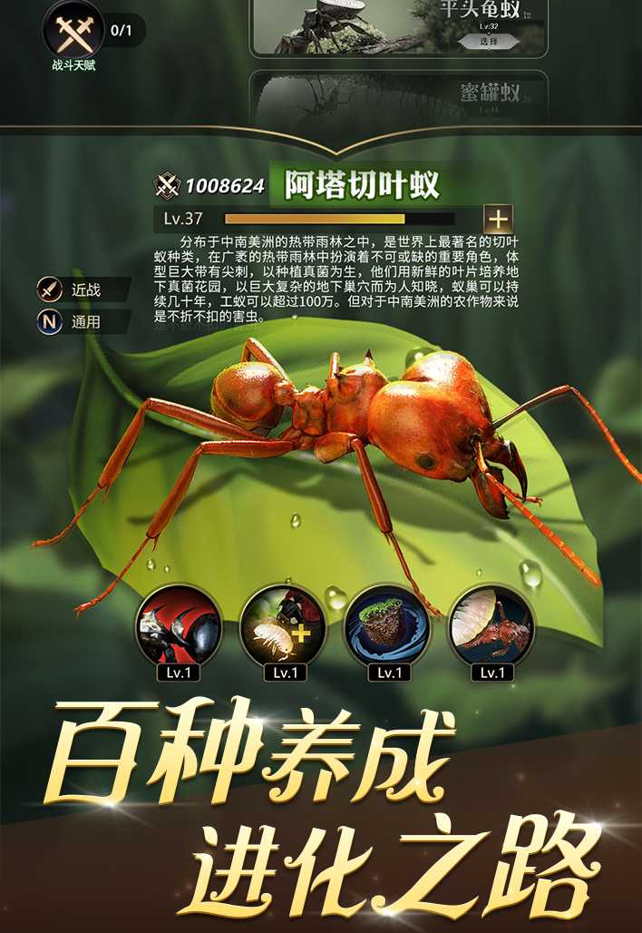 小小蚁国最新版
